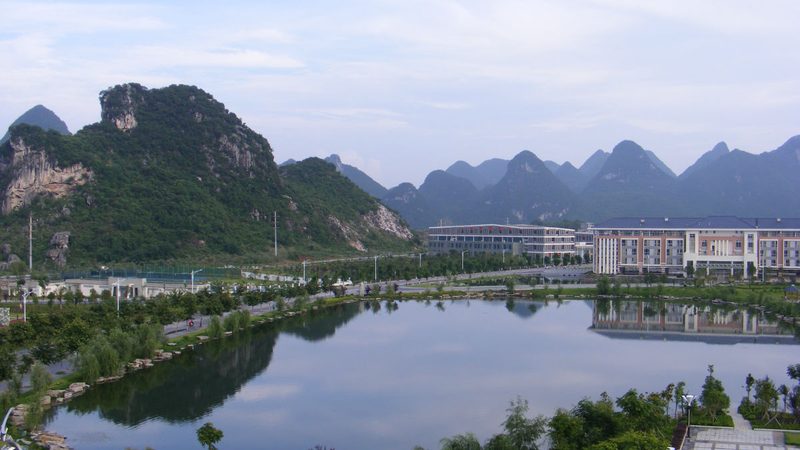 深圳电容批发市场：定制化服务揭秘